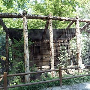 Owl Forest - Great Horned Owl Aviary