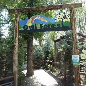 Owl Forest - Entrance Sign