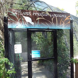 Wetlands Immersion Experience (17 Species)