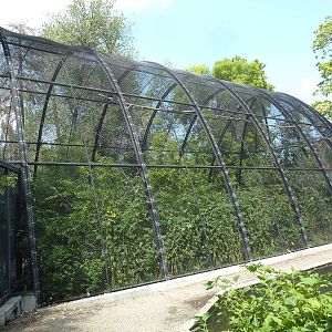 Wetlands Immersion Experience (17 Species)