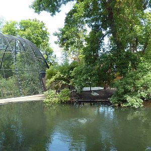 Wetlands Immersion Experience (17 Species)