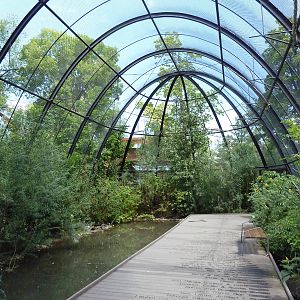 Wetlands Immersion Experience (17 Species)