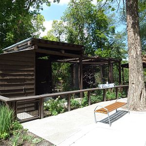 Red-Tailed Hawk/Turkey Vulture/Swainson's Hawk Exhibit