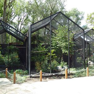 Rare Bird Exhibit Complex