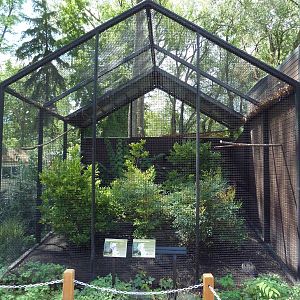 Rare Bird Exhibit Complex