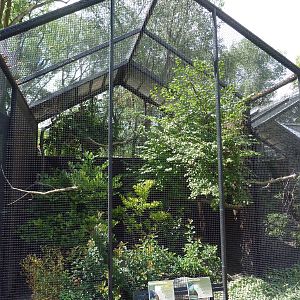 Rare Bird Exhibit Complex