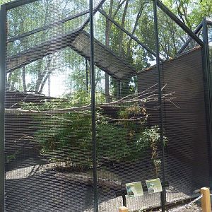 Rare Bird Exhibit Complex