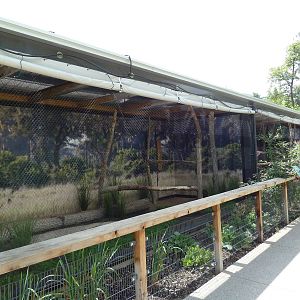 Painted Stork Exhibit