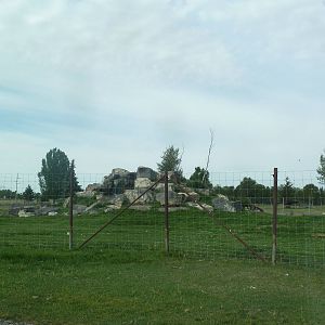 Drive-Through Area - Rocky Mountain Goat Exhibit