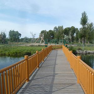 Bridge to American Black Bear Exhibit Viewing Area