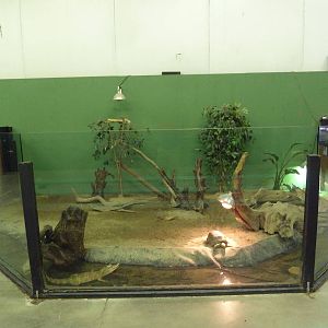 Mixed-Species Exhibit