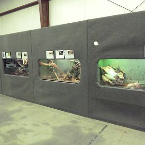 Assorted Exhibits