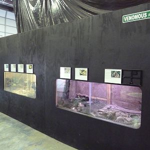 Assorted Exhibits
