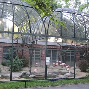Flamingo aviary
