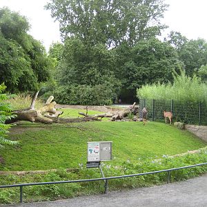 Seperate Exhibit for Nyalas