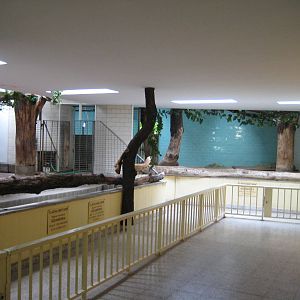 Tapir Inside Exhibits