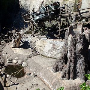 Skansen Aquarium - Baboon exhibit