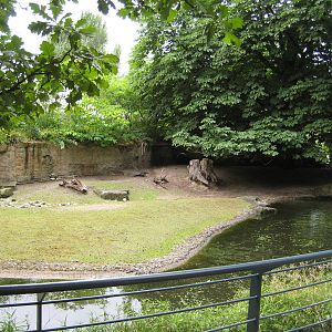 Pygmyhippo Exhibit