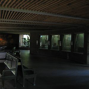 Tropical House Inside