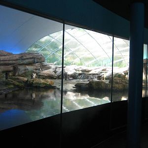 The Antarctic Penguin Exhibit