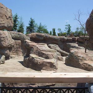 Markhor Exhibit Pre-Barrier