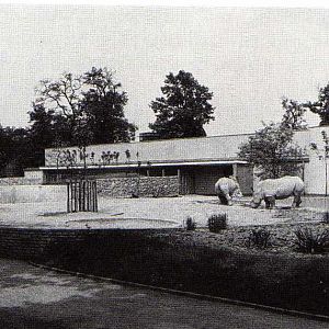 Rhinohouse in 1964
