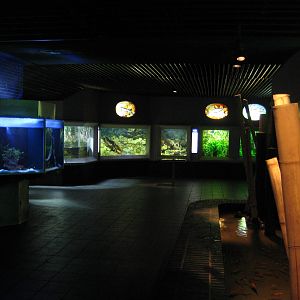 The Freshwater Section in the aquarium