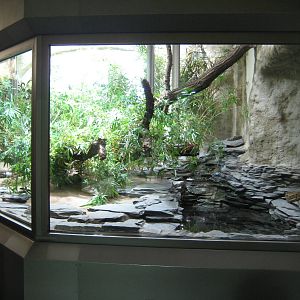 Phyton Exhibit