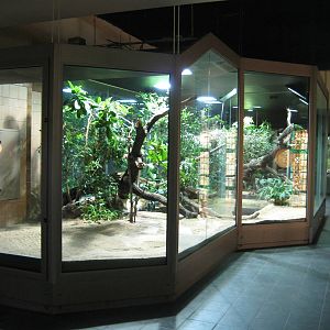New Southamerica Exhibit