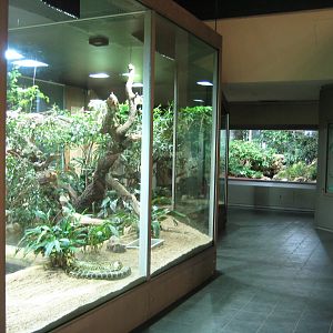 Southamerica Exhibit