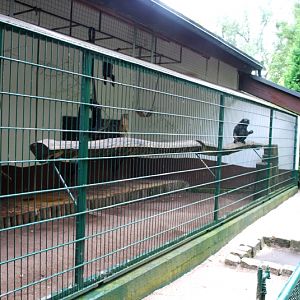 Monkey house in Hamm Tierpark