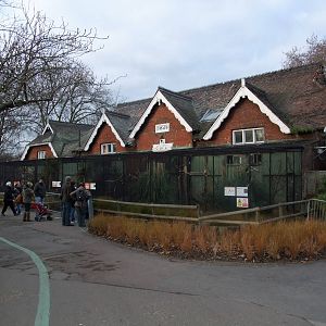 Parrot House at London Zoo Jan 2009
