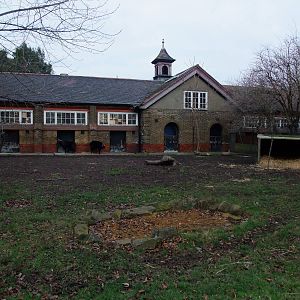 Lowland Anoa enclosure at London Zoo Jan 2009