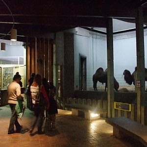 Camel indoor quarters at London Zoo Jan 2009