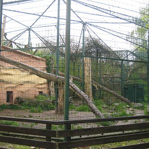 Saarbrücken zoo-Jaguar Exhibit 1