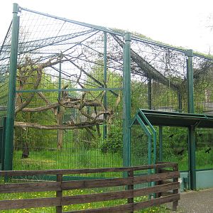 Saarbrücken zoo-Jaguar Exhibit 2
