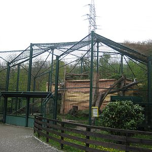 Saarbrücken zoo Jaguar Exhibit 1