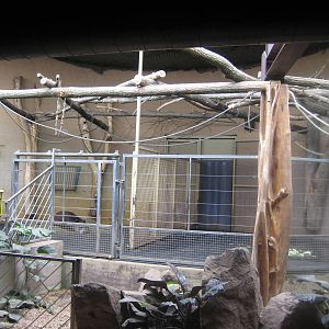 Saarbrücken Zoo-Inside Tapirhouse