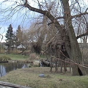 Wetlands Exhibit Complex