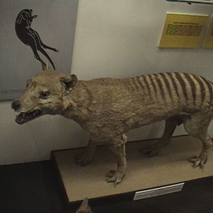 Prague National Museum