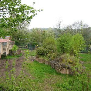 Saarbrücken zoo-Tapir Exhibit another view