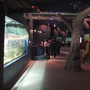 Diversity of Life in Water Building