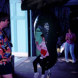 Chrysalis, The Treehouse - 1987