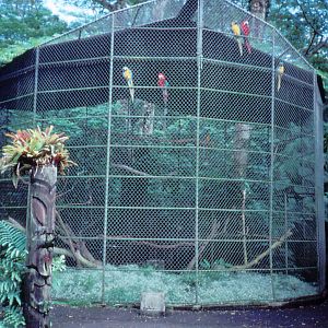 Macaw Cage - 1987