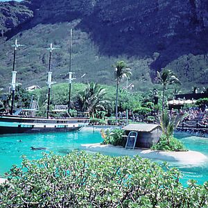 Sea Life Park - 1987