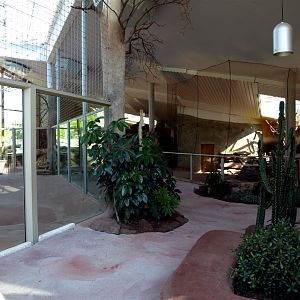 Erfurt Zoo - Lion Savannah