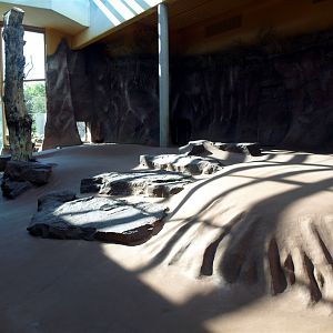 Erfurt Zoo - Lion Savannah