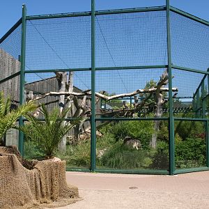 Erfurt Zoo - Monkey Jungle