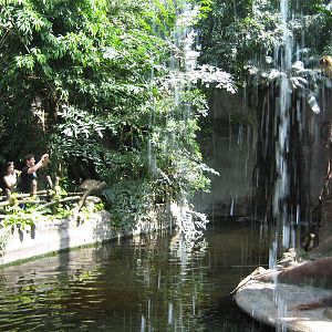 Waterfall in the Indonesia Jungle
