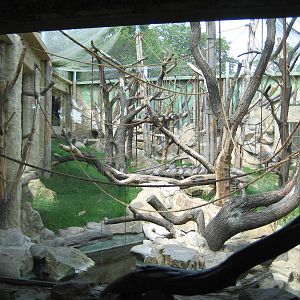 Orang Outdoor Exhibit